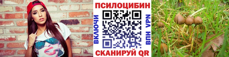 Псилоцибиновые грибы Cubensis  Чита 
