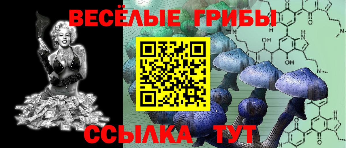 Чита  Псилоцибиновые грибы GOLDEN TEACHER  Вход с VPN 