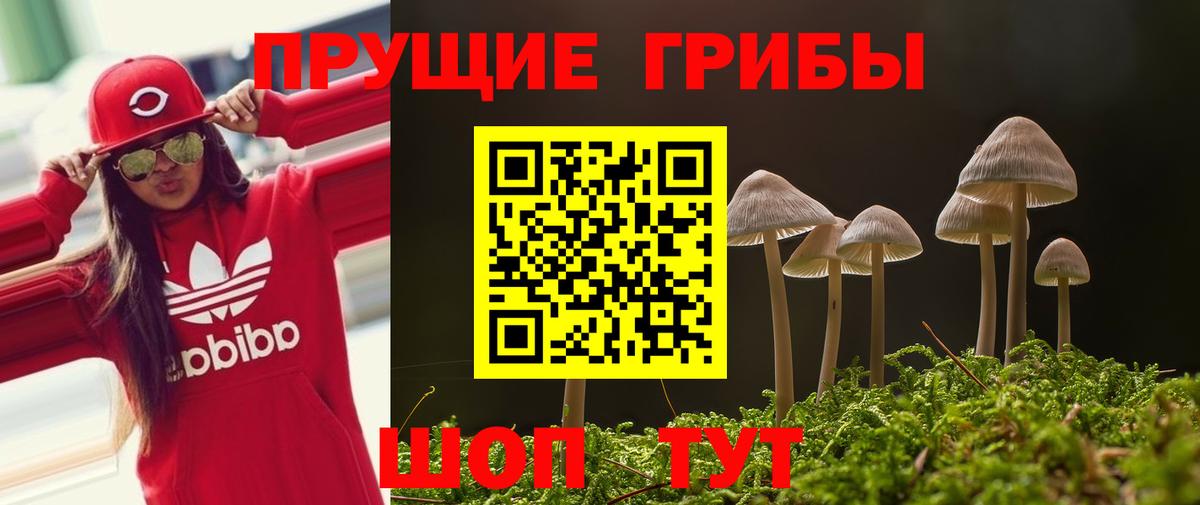 Конопля Чита