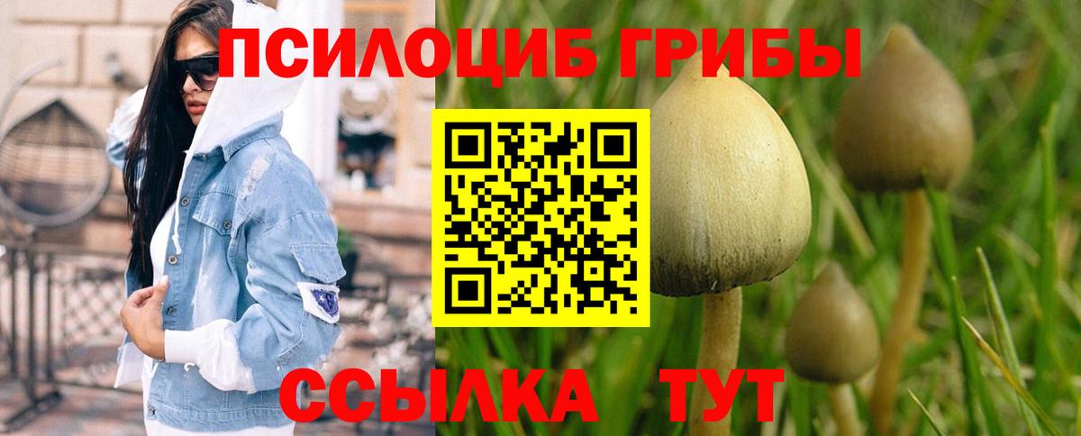 Плюхи  Конопля  Чита  Мефедрон  Вход с VPN  Alpha PVP  Бошки Шишки  ГАШ 